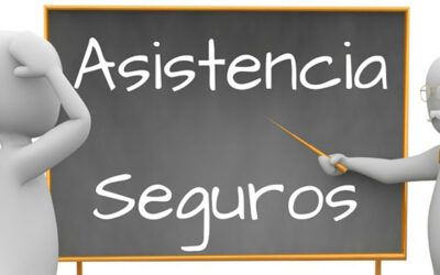 The Importance of Assistance Services in Insurance Companies