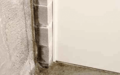 Does Community Insurance Cover Damp and Water Damage?